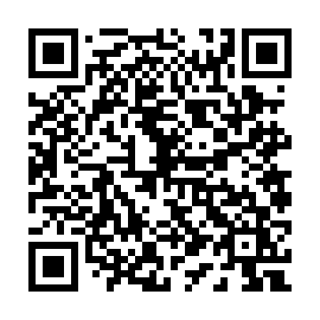 QR code for P160FZ