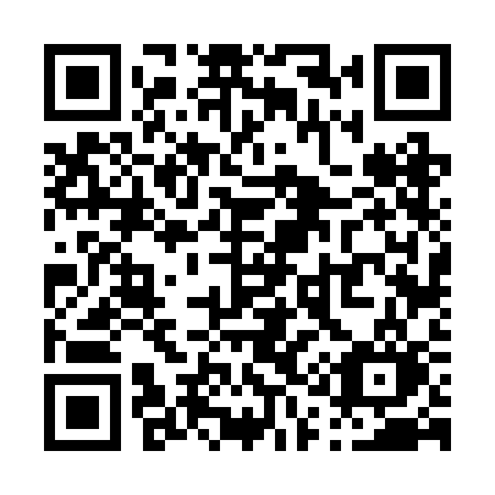QR code for P162CO
