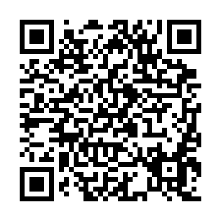 QR code for P163E