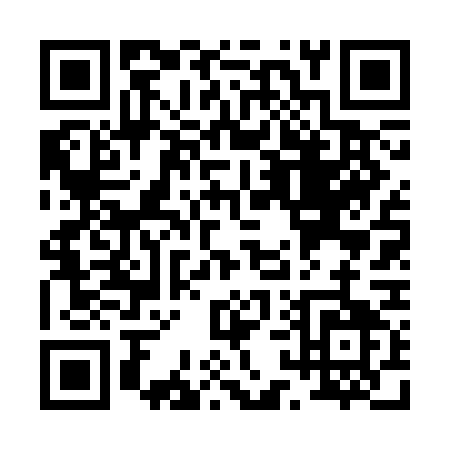 QR code for P163G