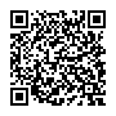 QR code for P169YS