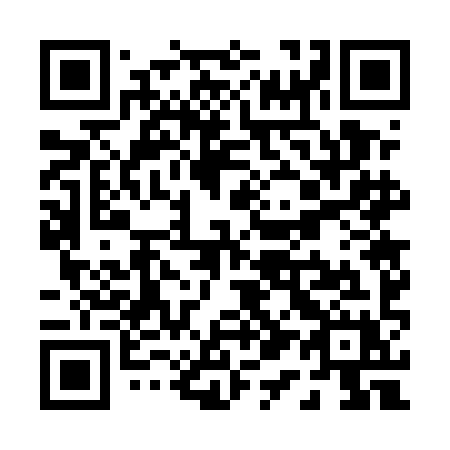 QR code for P17 5IX