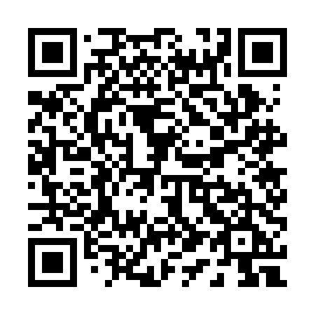 QR code for plate P17 2DE