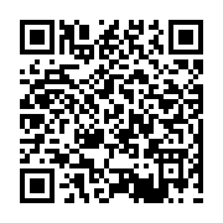 QR code for P172G