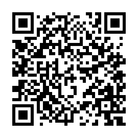 QR code for P173I