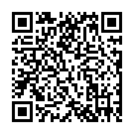 QR code for P178N