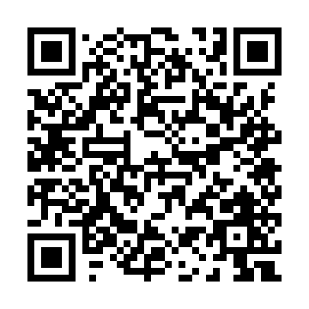 QR code for P179U