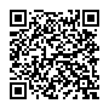 QR code for plate P19 4YL