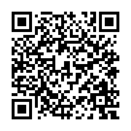 QR code for P196A