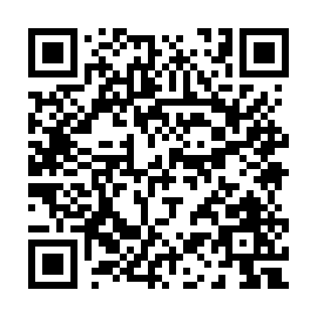 QR code for P196U