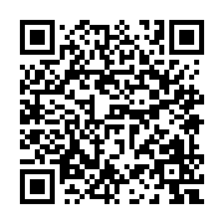 QR code for P197I