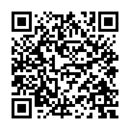 QR code for P197R