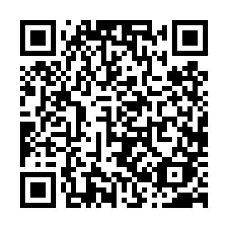 QR code for P20 4PK