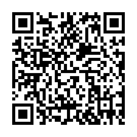 QR code for P201D
