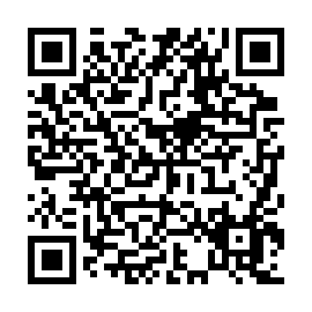 QR code for P203T