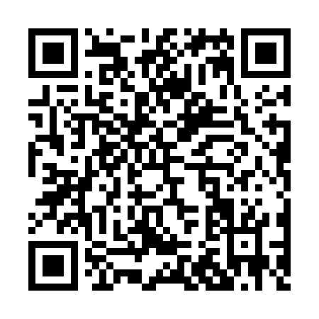QR code for P205G