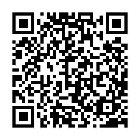 QR code for P205IS
