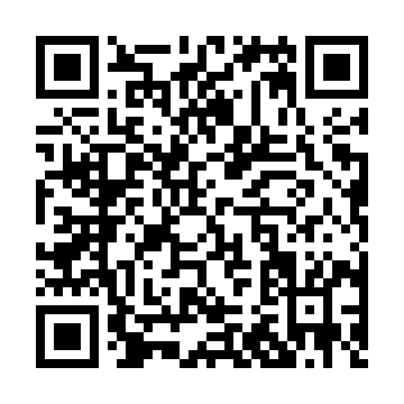 QR code for P205Y