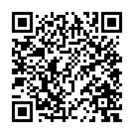 QR code for P206P