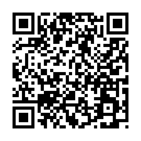 QR code for P206V