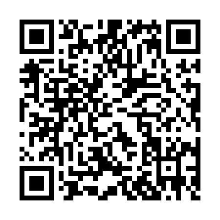 QR code for P211I