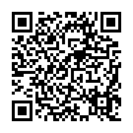 QR code for P212T