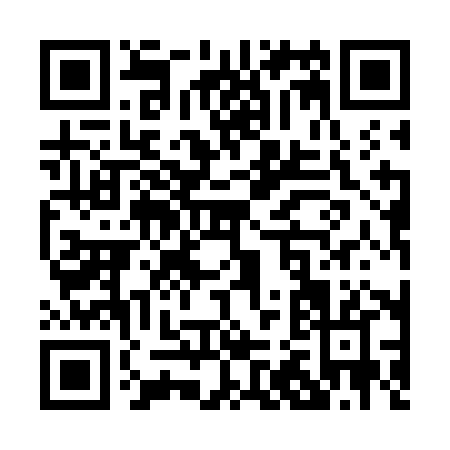 QR code for P217H
