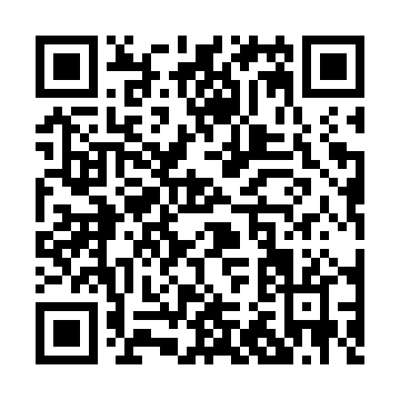 QR code for P217P