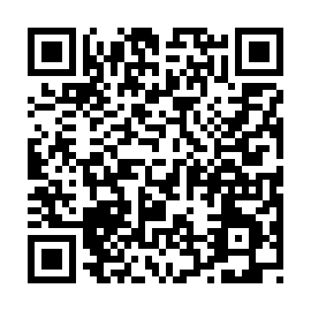 QR code for P217X