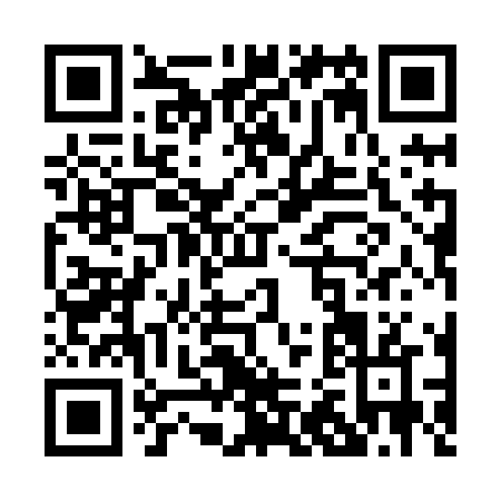 QR code for P218N