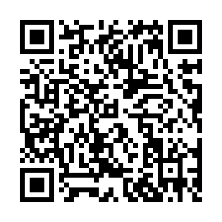 QR code for P219P