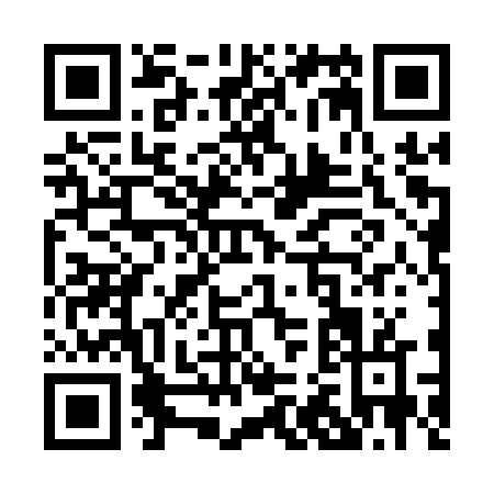 QR code for P221V