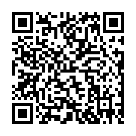QR code for P222N