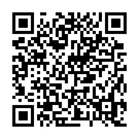QR code for P223ZN