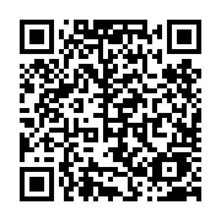 QR code for P224OE