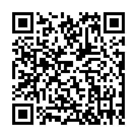 QR code for P225C