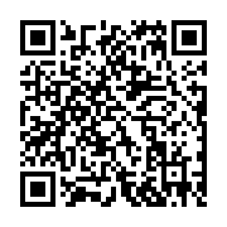 QR code for P225F