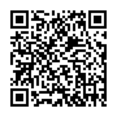 QR code for P226X