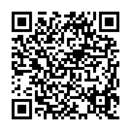 QR code for P229I