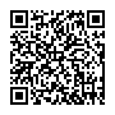 QR code for P231G