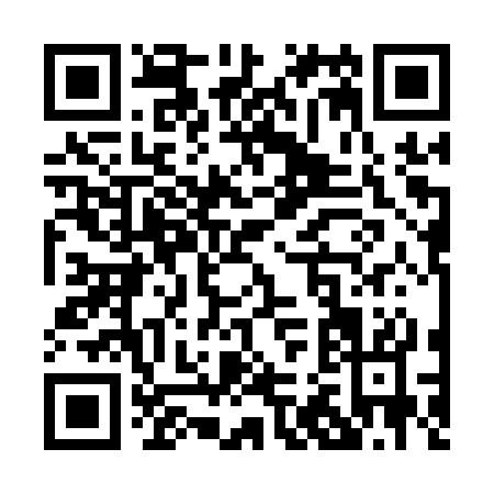 QR code for P231S