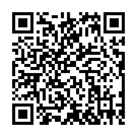 QR code for P231V