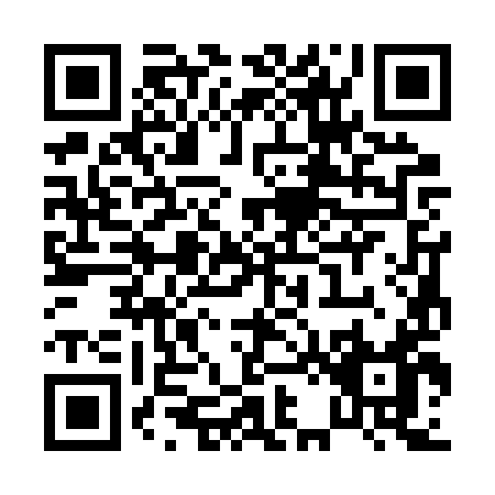 QR code for P232Y