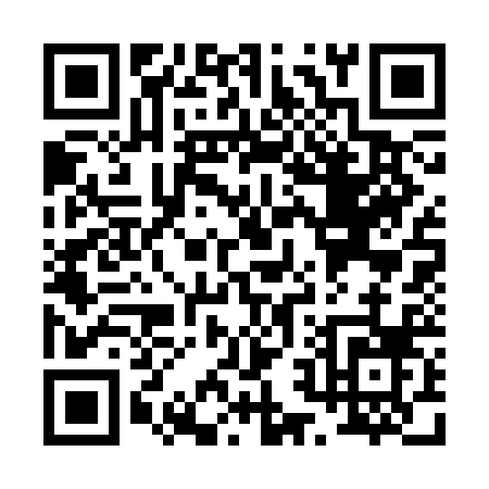 QR code for P233B