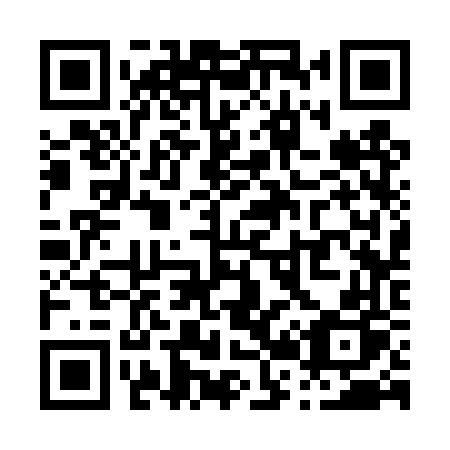 QR code for P234VP