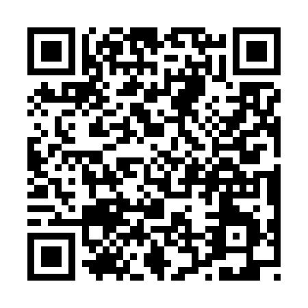 QR code for P236B