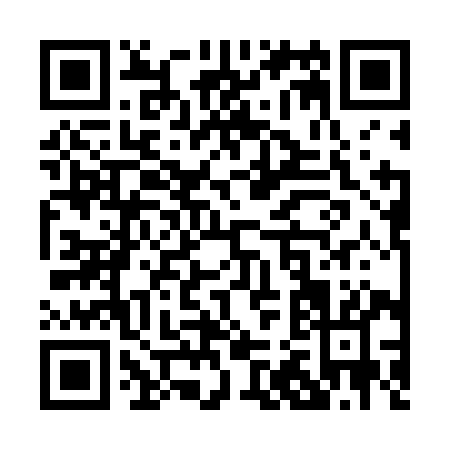 QR code for P236I