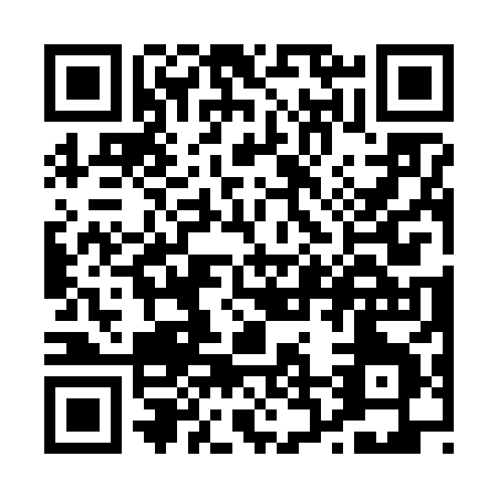 QR code for P236X