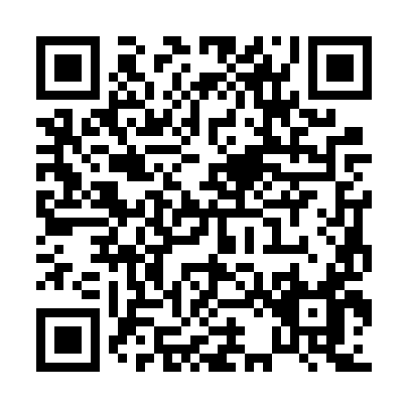 QR code for P236Y