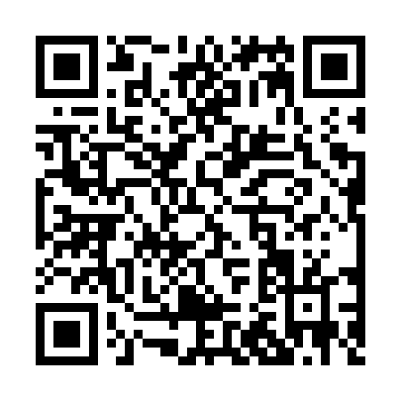 QR code for P237T